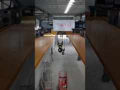 5 टन 5-40 मीटर स्पैन डबल बीयर क्रेन टॉप रनिंग ट्रॉली के साथ